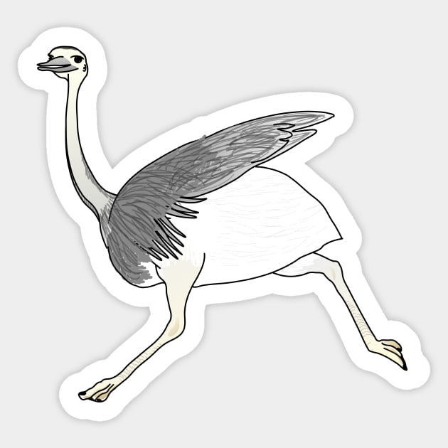 Rhea americana nandou running Sticker by FabuleusePlanete